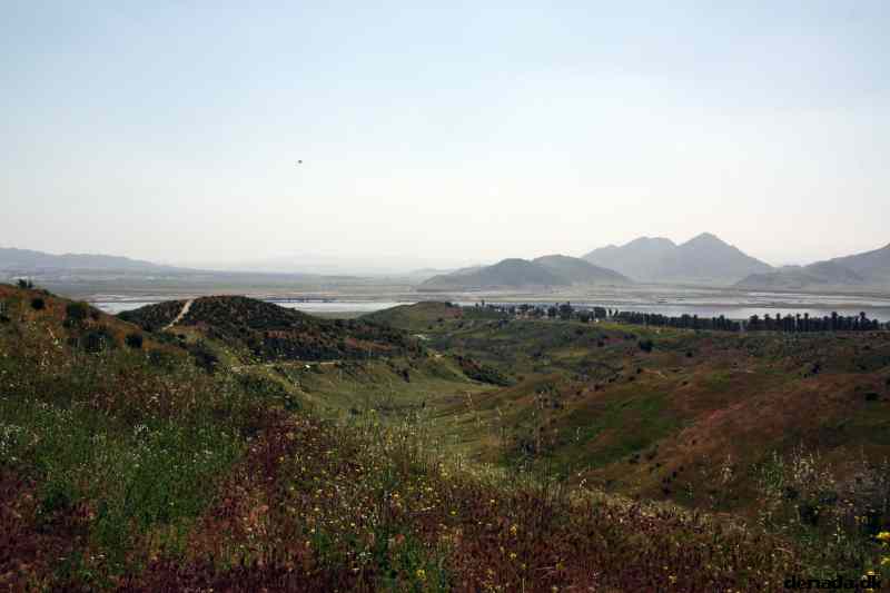 * Image 14