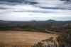 201104180520m.jpg - 2011:04:18 10:15:02