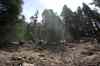 201104180528m.jpg - 2011:04:18 11:11:04