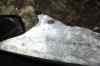 201104180529m.jpg - 2011:04:18 11:11:16