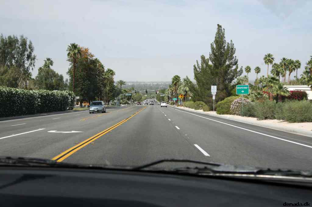 * Image 38