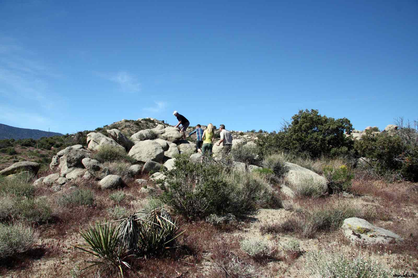 * Image 8