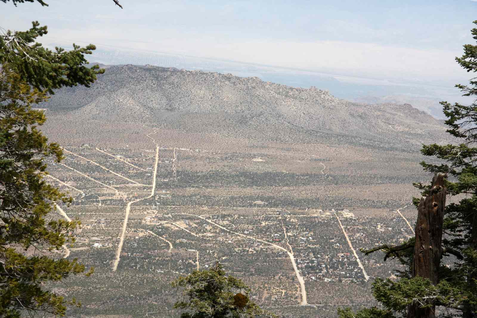 * Image 19