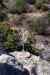201104180517m.jpg - 2011:04:18 08:44:17