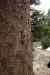 201104180534m.jpg - 2011:04:18 11:44:38