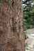 201104180535m.jpg - 2011:04:18 11:44:44