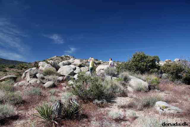 * Image 7