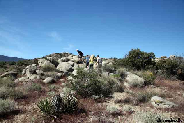 * Image 8