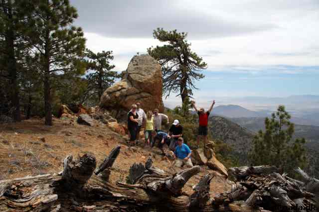 * Image 26