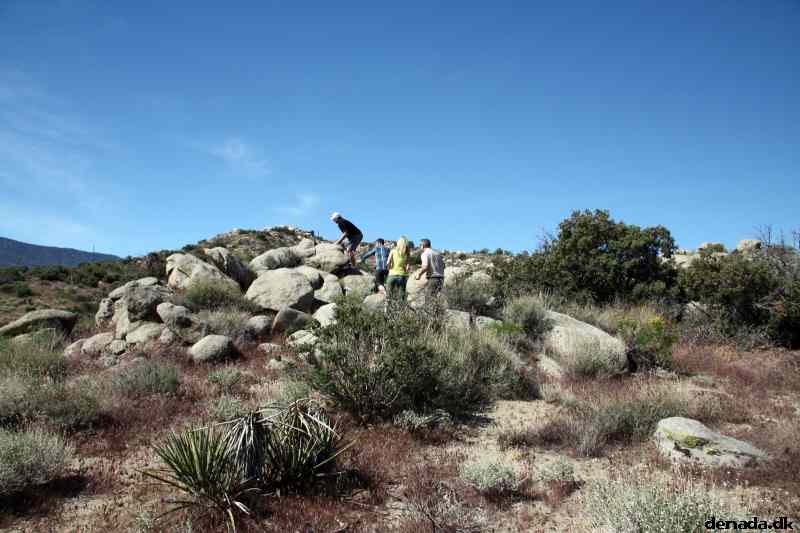 * Image 8