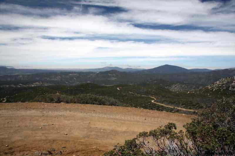 * Image 11