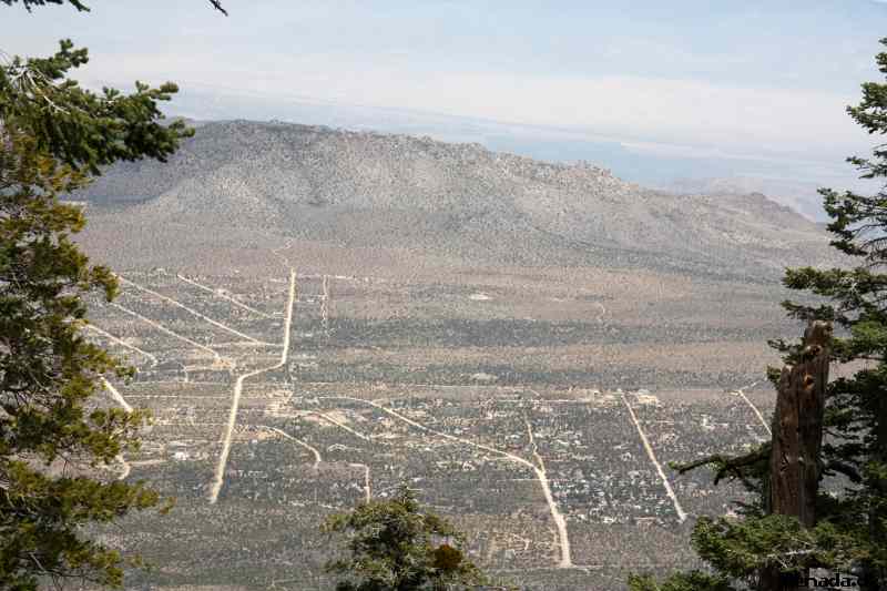 * Image 19