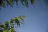 201104190581m.jpg - 2011:04:19 08:43:39