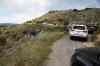 201104190611m.jpg - 2011:04:19 12:05:51