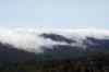 201104190612m.jpg - 2011:04:19 12:13:08