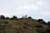 201104190616m.jpg - 2011:04:19 12:14:31
