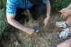 201104190769m.jpg - 2011:04:19 17:21:17