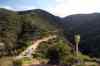 201104190787m.jpg - 2011:04:19 17:39:05