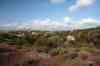 201104190790m.jpg - 2011:04:19 17:47:06