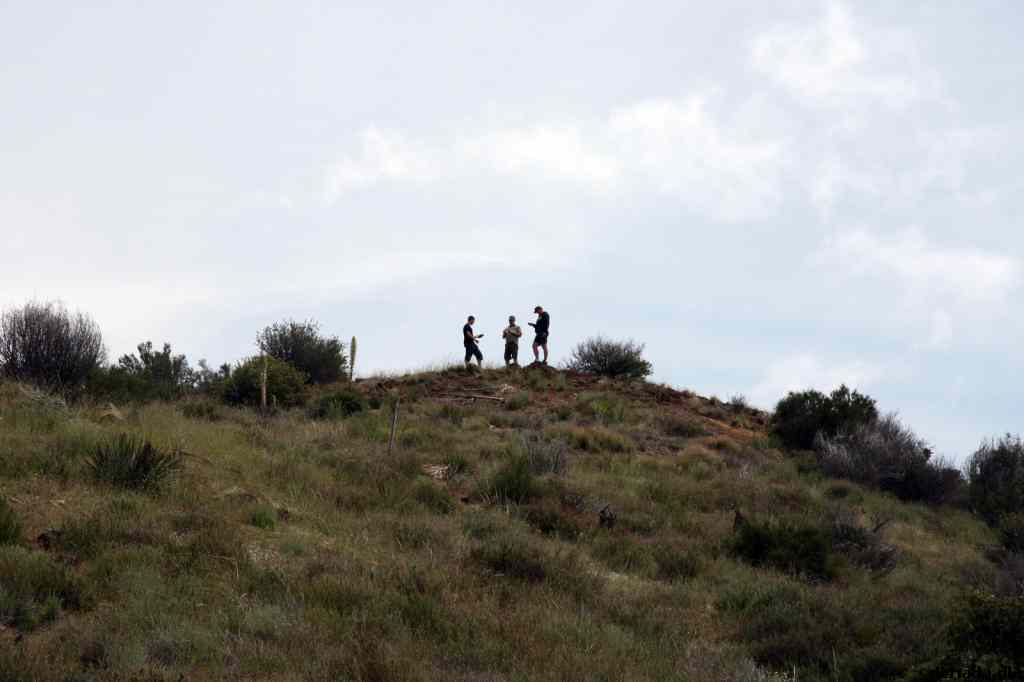 * Image 16