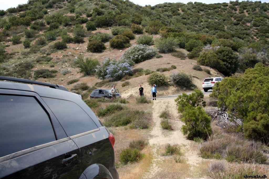* Image 19