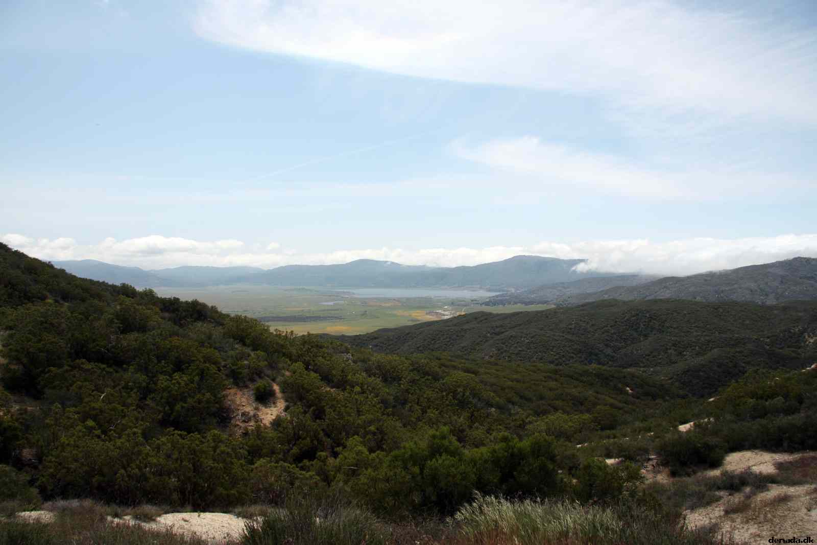 * Image 3
