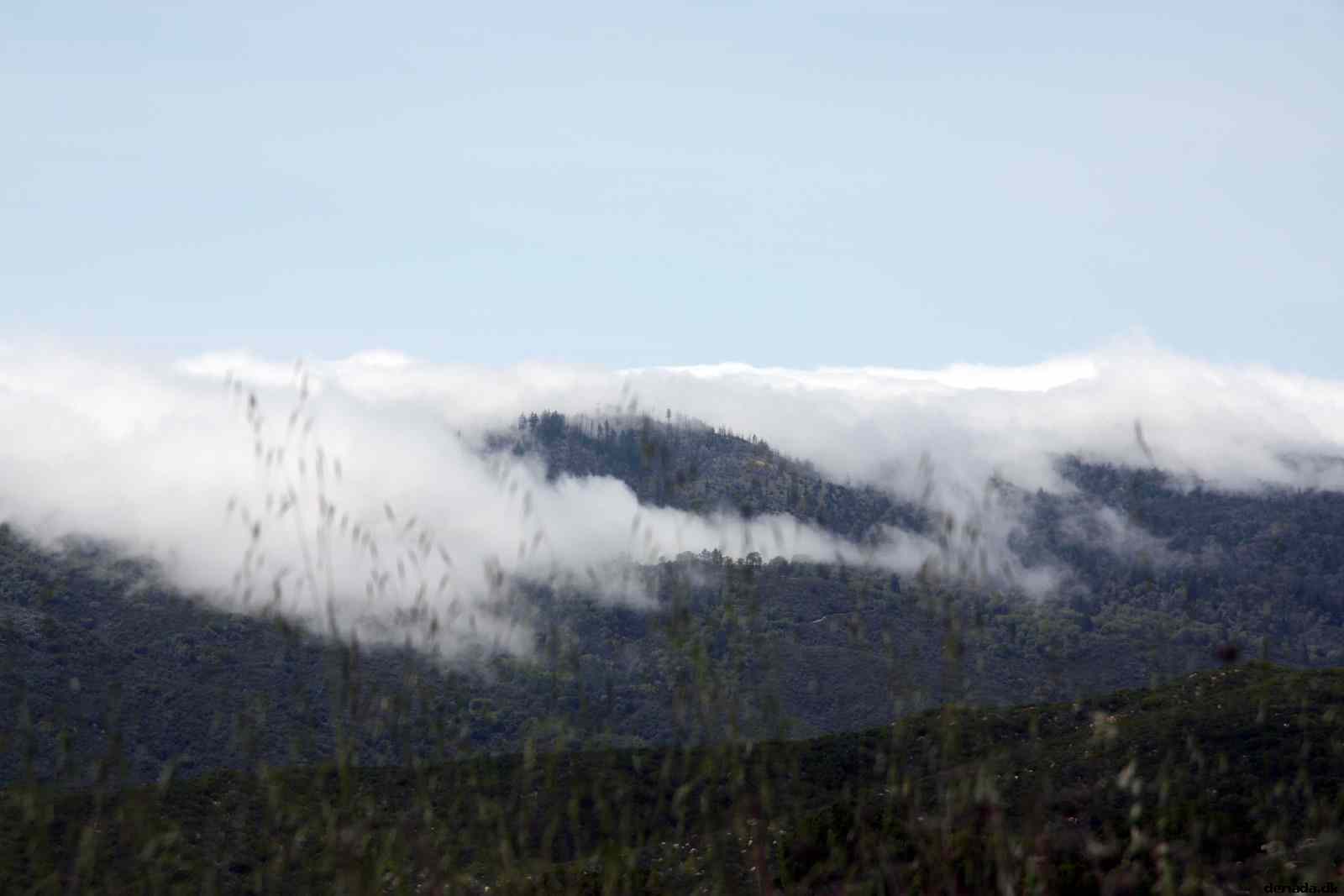 * Image 12