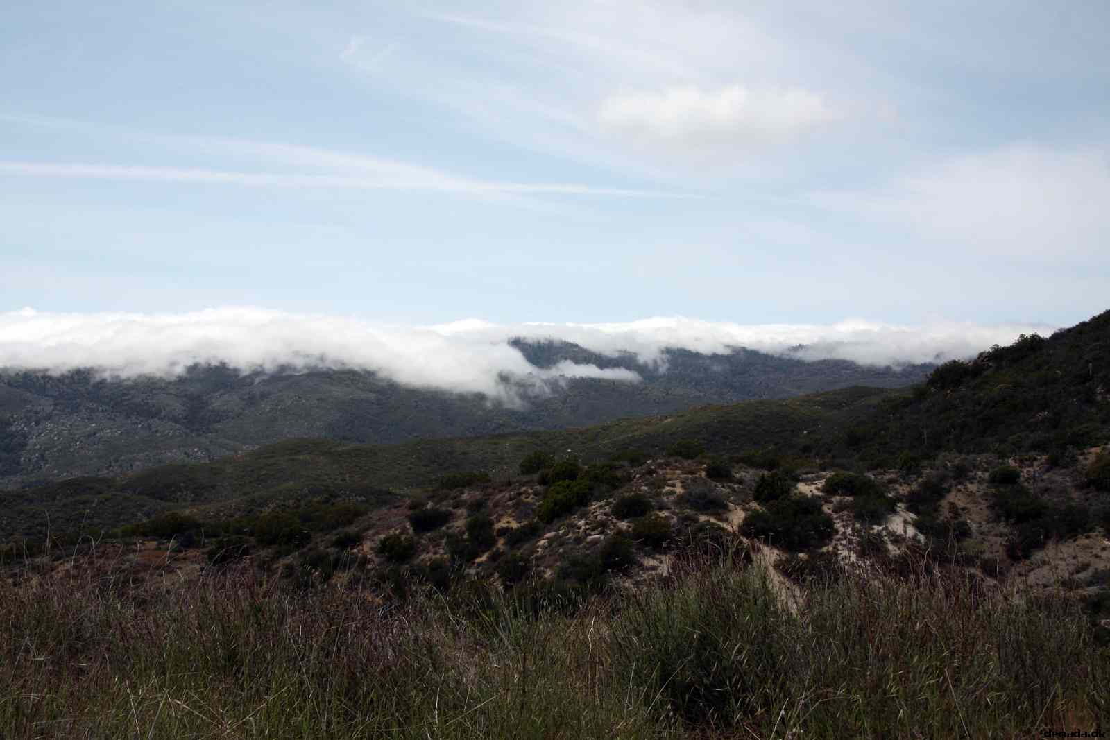 * Image 14