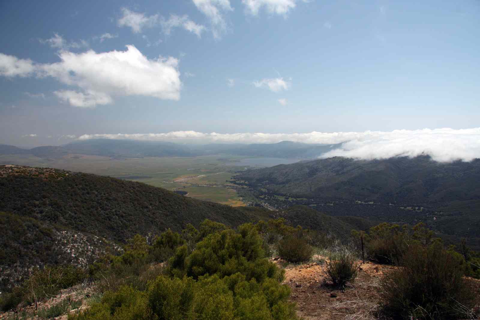 * Image 31