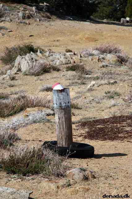 * Image 69