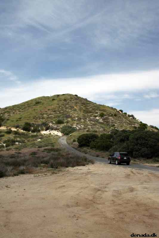 * Image 5