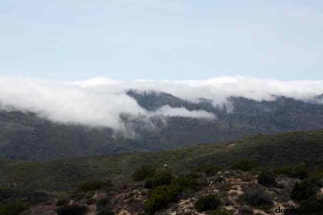 * Image 15