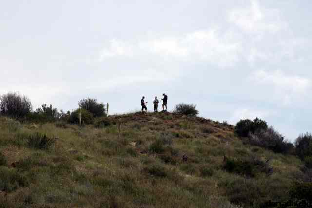 * Image 16