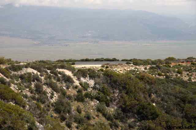 * Image 24