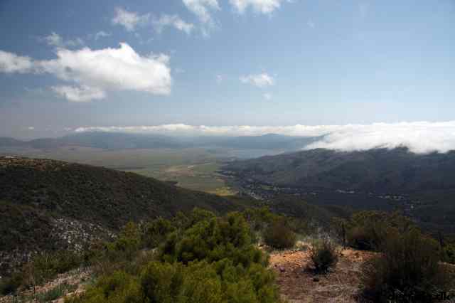 * Image 31
