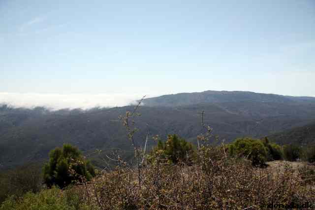 * Image 40