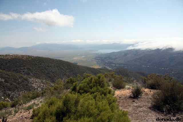 * Image 46