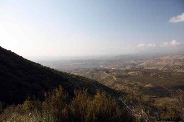 * Image 90