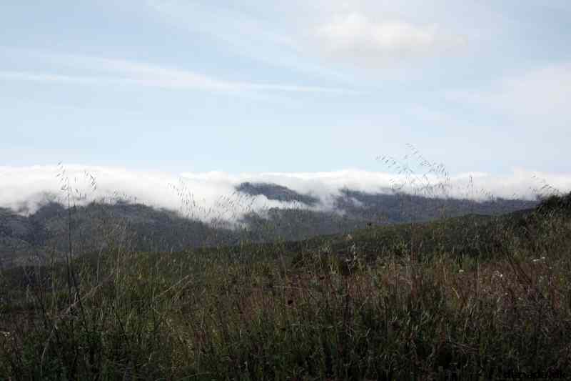 * Image 13