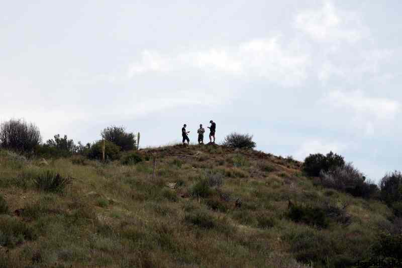 * Image 16