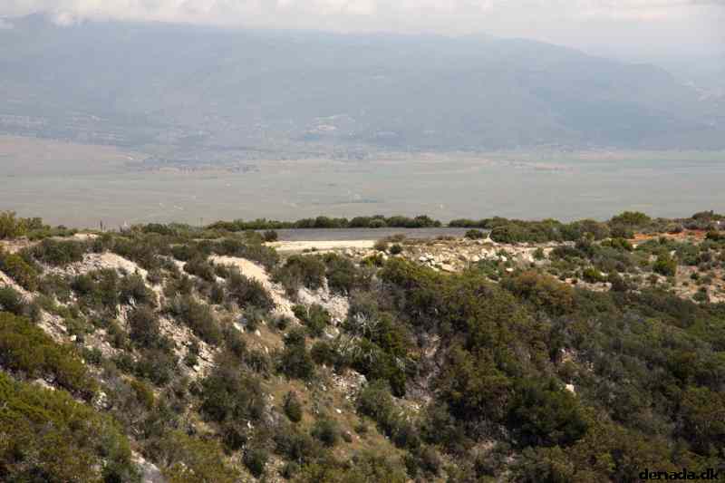 * Image 24