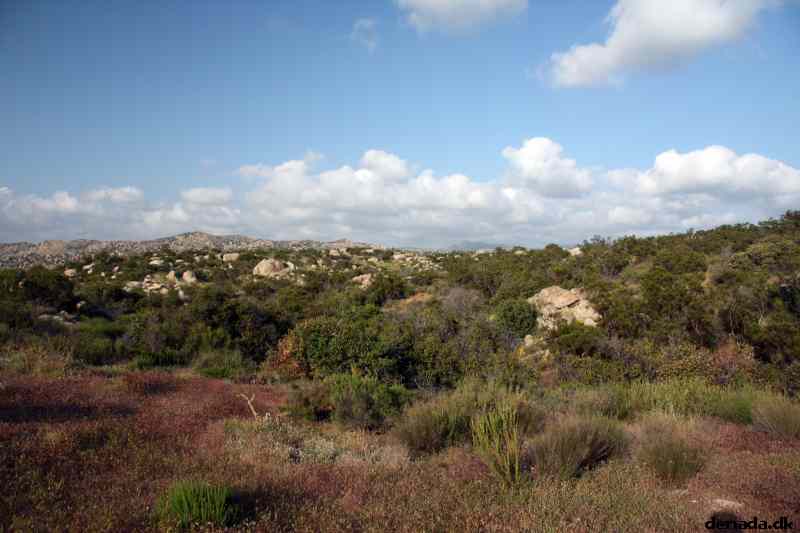 * Image 105