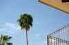 201104200796m.jpg - 2011:04:20 09:49:53