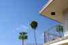 201104200797m.jpg - 2011:04:20 09:50:25