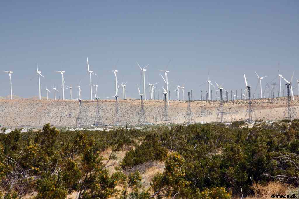 * Image 10