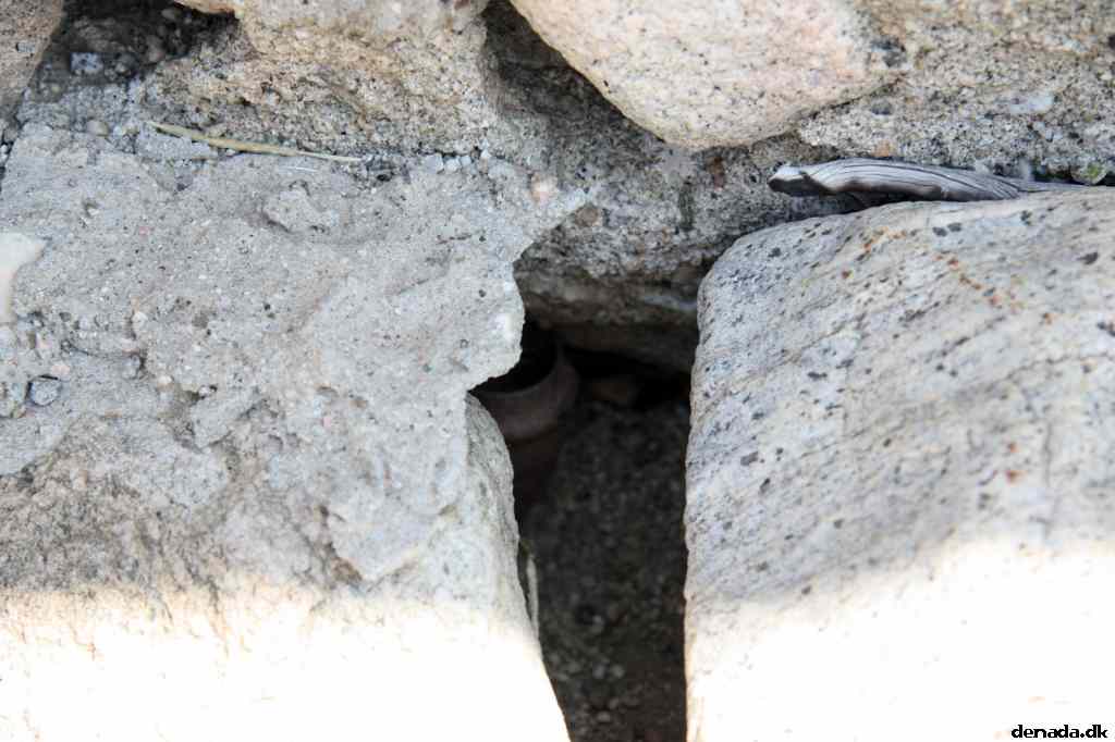 * Image 15