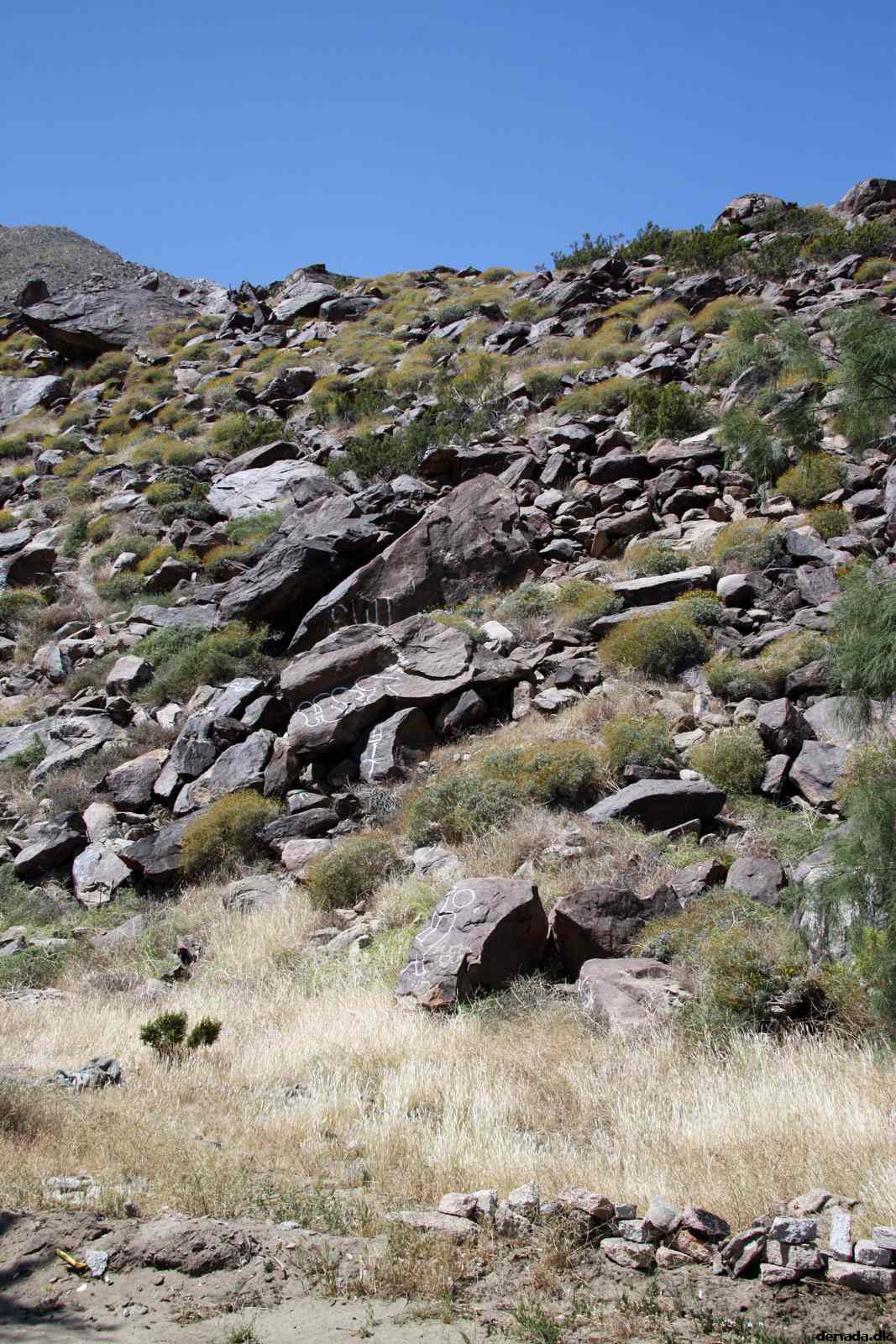 * Image 8