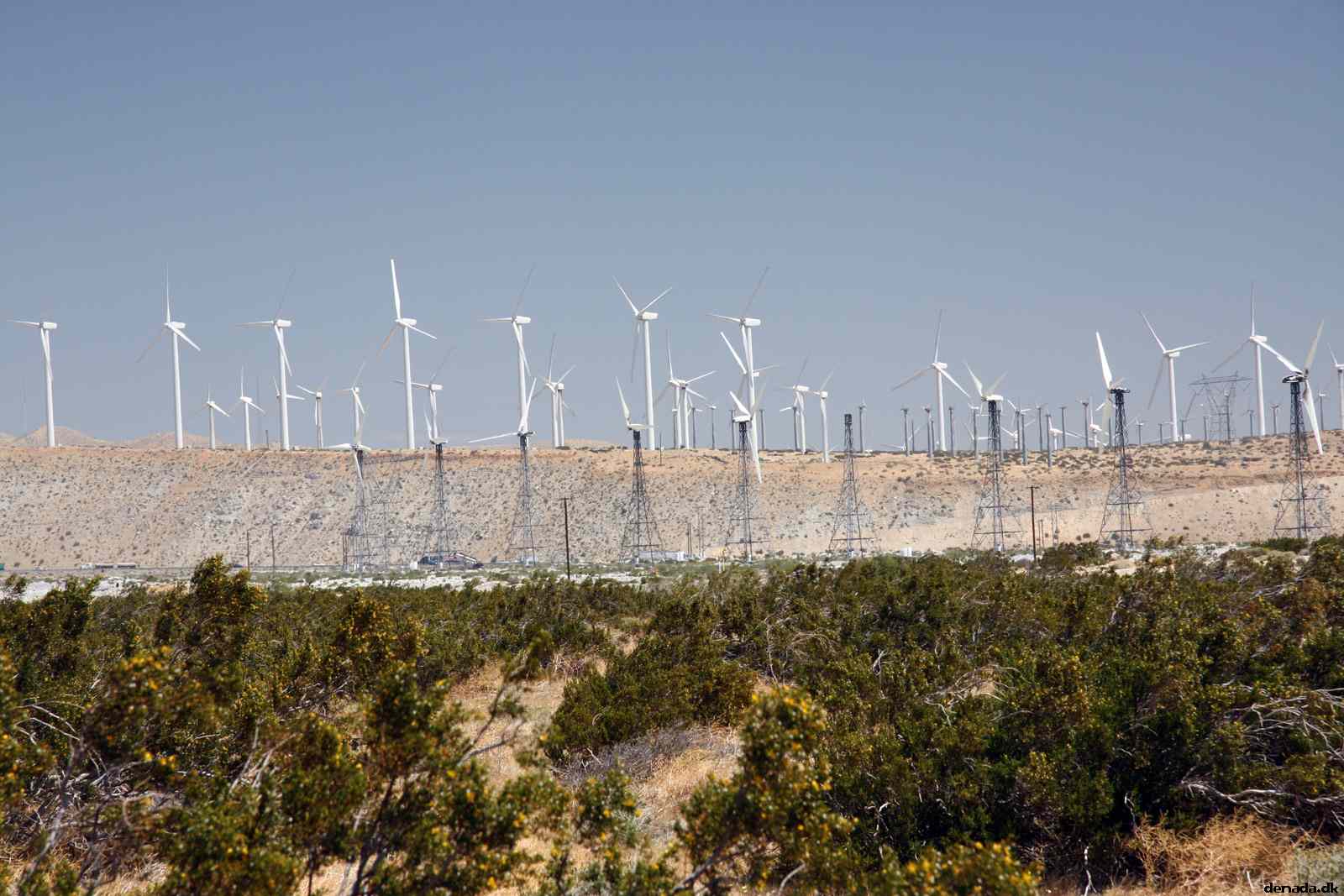 * Image 10