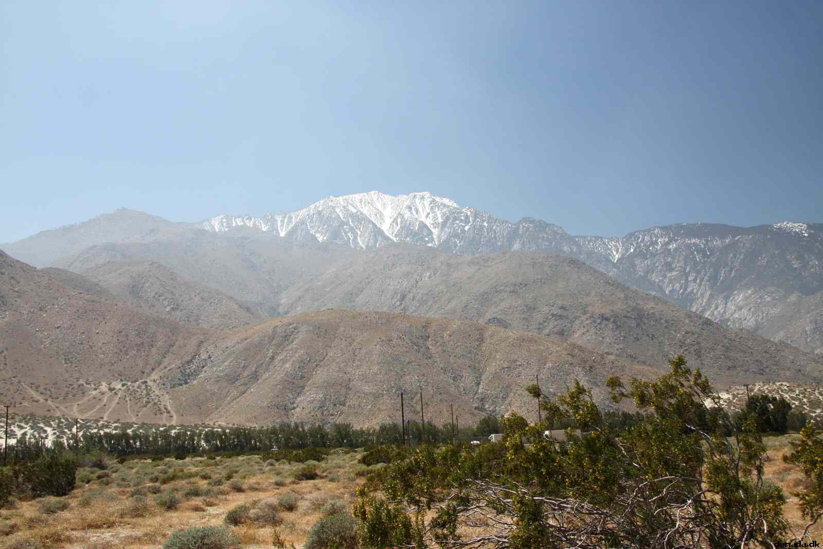* Image 11