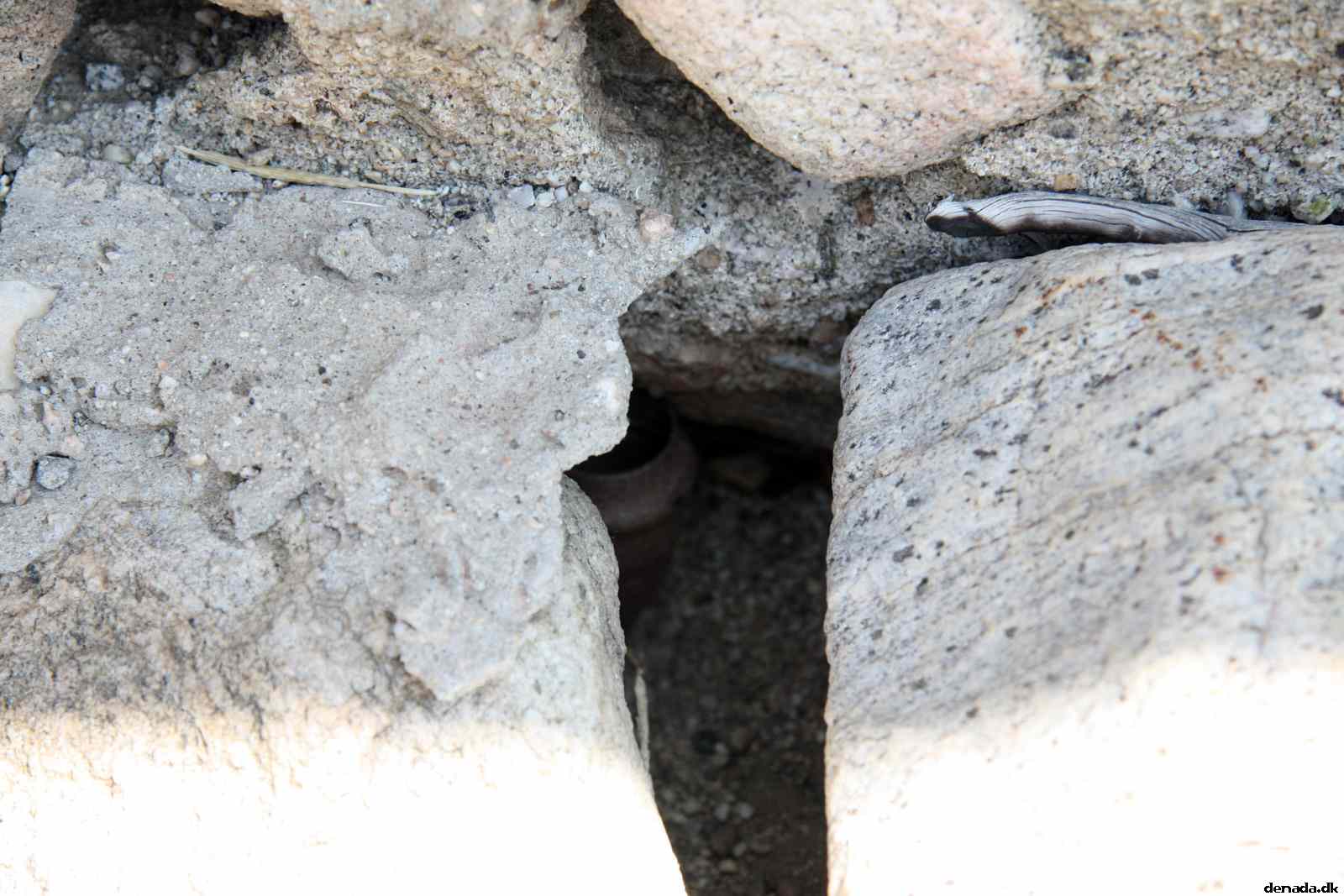 * Image 15